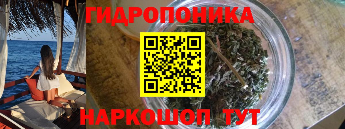 Зеленокумск  Шишки марихуана семена  МАРИХУАНА семена  Бошки марихуана VHQ  Вход с VPN  Бошки марихуана сатива 